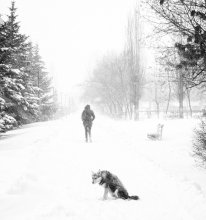 every dog has its day / ***