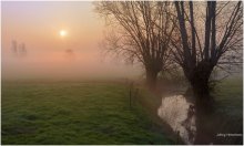 This morning. / A beautiful foggy morning.
