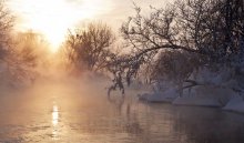 Winter / ***