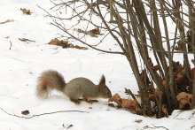 Treffen im Park / ***