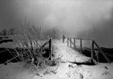 Verschwinden in den Nebel / ***