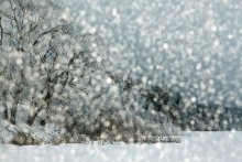 Winterschlaf / 13.01.2013.