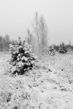 Snizhnist / ***
