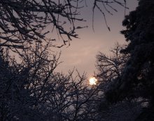 Wintersonne / ***