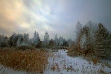 Grauer Tag ... / 14.01.2013
