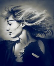Frei wie der Wind / ***