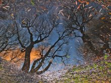 Whirlpool Himmel ... / ***