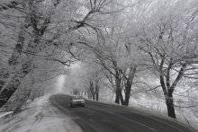 Winter road. / ***