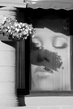 Duft der Blumen / ***