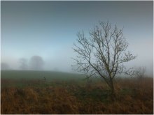 Daytime ...... / ***
