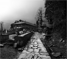 Dorf / ***