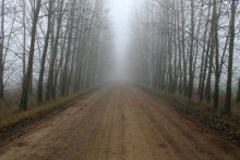 im Nebel / ***