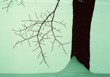 Elemente des Winters / ***