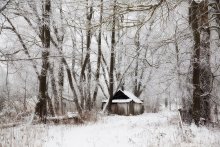 Wintermitte / 15.01.2013.