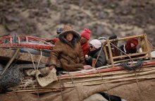 Nomads / ***