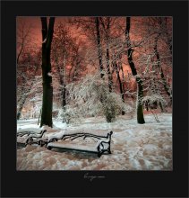 Winter Night / ***