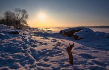  / winter morning