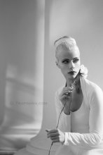 Vera / ***