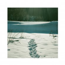 Stsezhka / ***