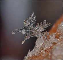 Natürlichen Schwung der Stift ... / ***