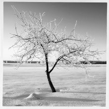 Landschaft Nummer 2 / /////////