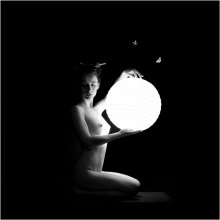 Moths / ***