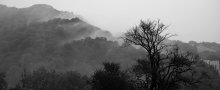 Nach dem Regen / ***