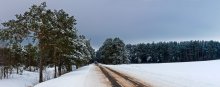 Straße im Winter / ********