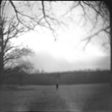Frieden / ***