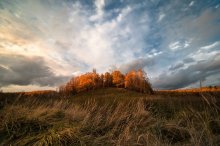 Im Dickicht des Herbstes / ***