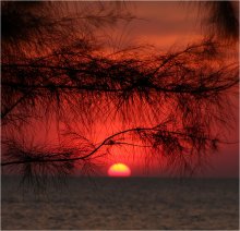Sonnenuntergang / ***
