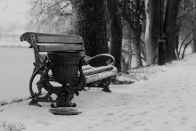 Platz im Garten / ***