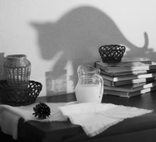 Katze kroch unbemerkt ... / ......................