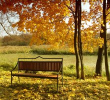 Herbst meines Lebens / ***