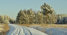 Der Weg zu den Tiefen des Waldes / ..........