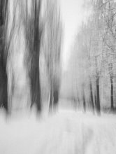 Winter / ......