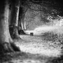 Together. / ***