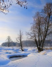 Winter Suvorosch / *****