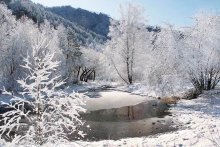 Tauwetter / ***