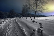 Suburban Nacht / ***