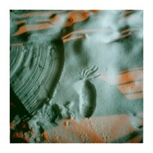 Ciliaten-Schleifer / ***