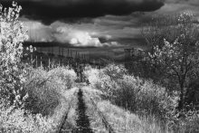 Sturm / ***