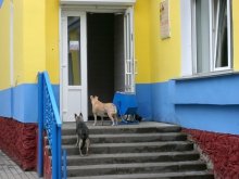 Kein VISY / ---