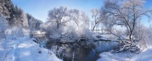 Winter / ***