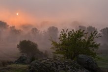 Breath of Morgennebel. / ***