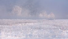 Winter / ***