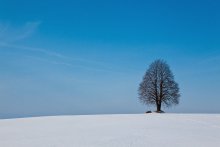 Zusammen / 01.03.2013.