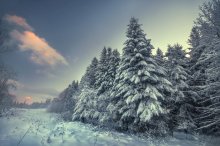 Winters Schöpfung ... / *******