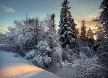 Winter ray / *******