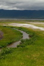 Tal der Ngorongoro / ***